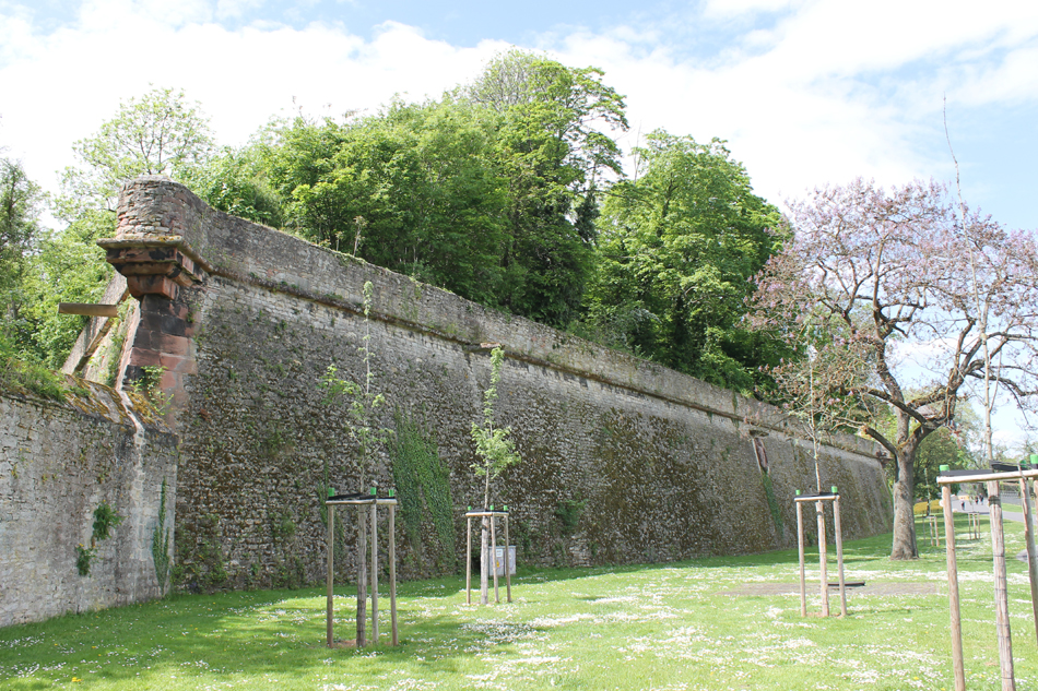 (c) Mainz-Oberstadt.de